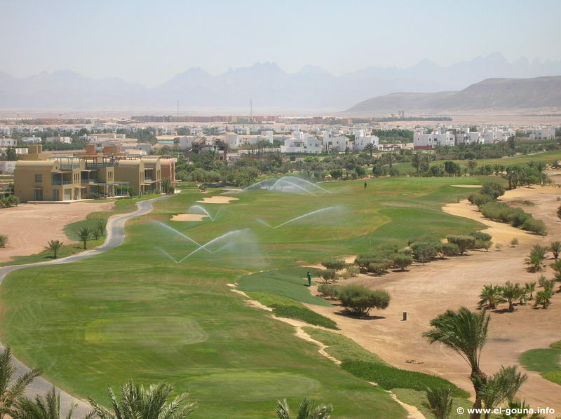 El Gouna Golf Club 8112